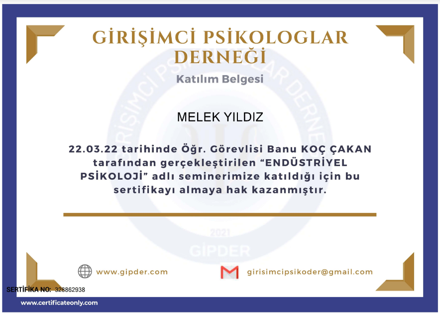 Çalışma ortamı 6