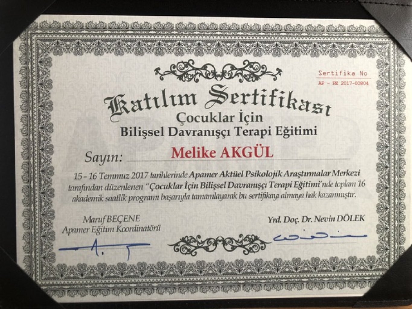 Çalışma ortamı 5
