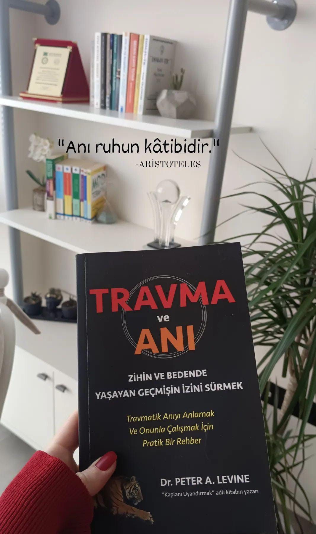 Çalışma ortamı 6