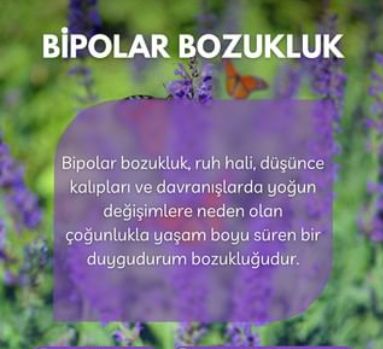 Çalışma ortamı 2