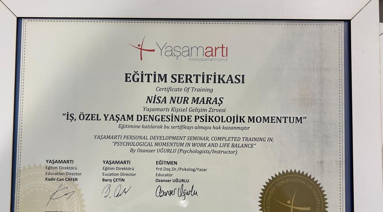 Çalışma ortamı 2