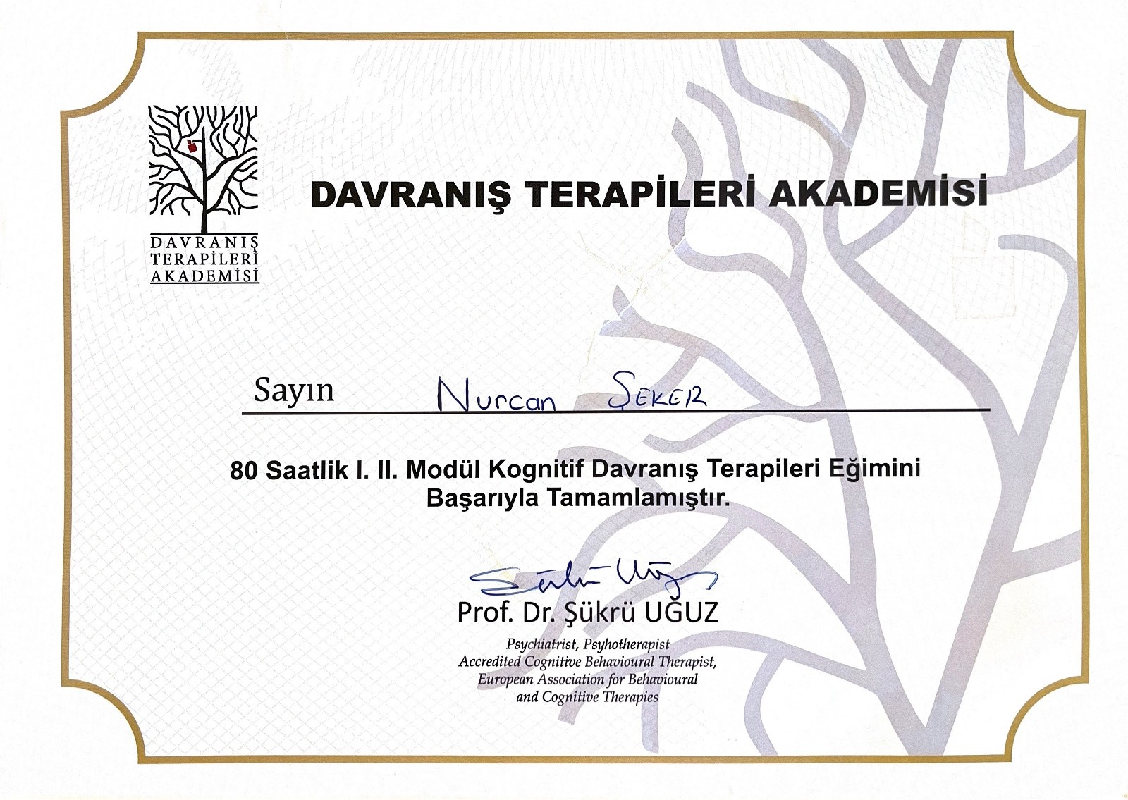 Çalışma ortamı 5