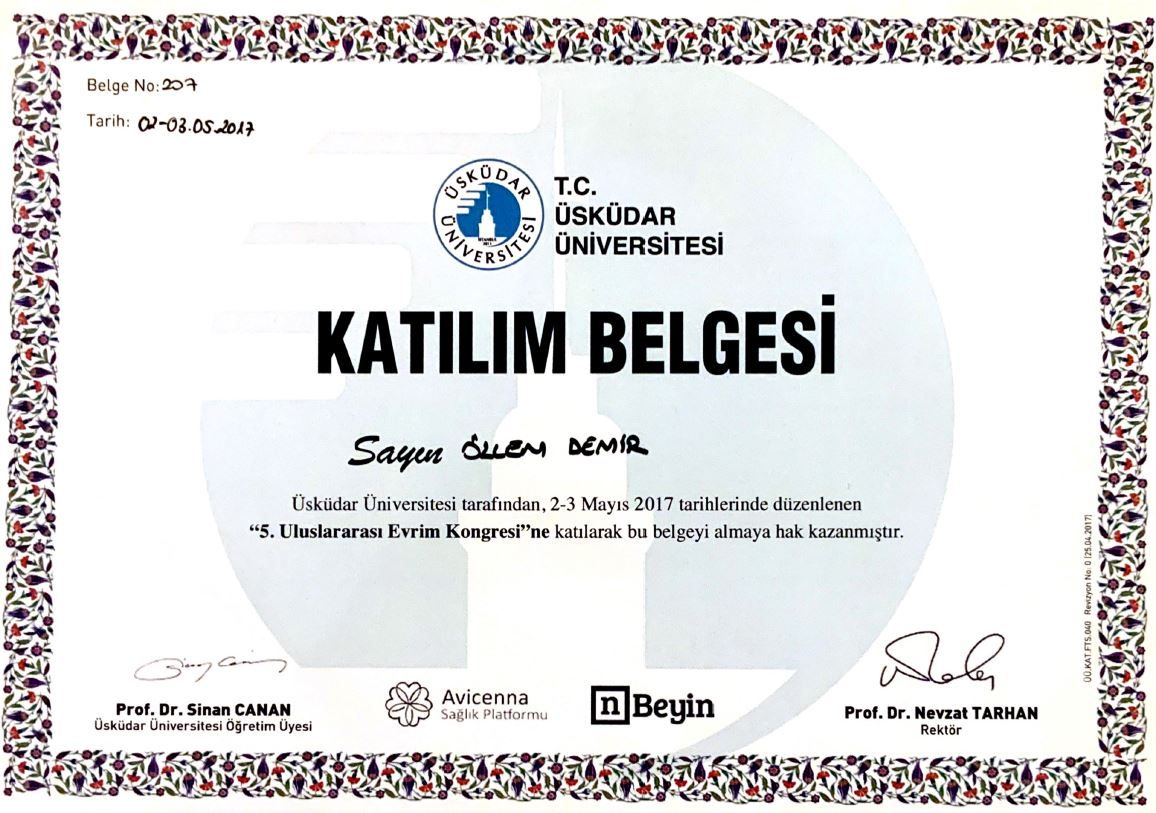 Çalışma ortamı 2