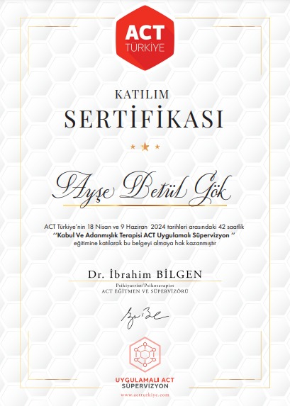 Çalışma ortamı 2