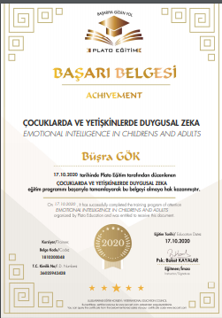 Çalışma ortamı 6