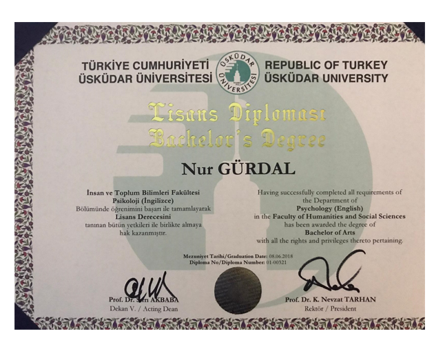 Çalışma ortamı 3