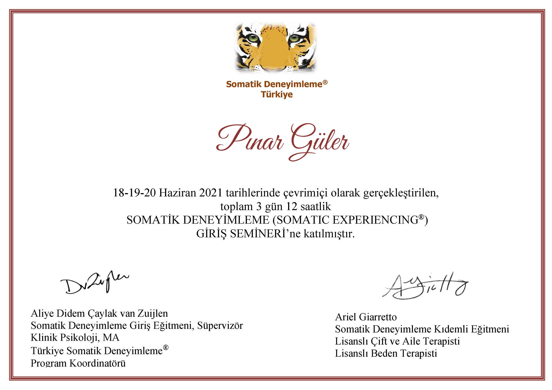 Çalışma ortamı 5