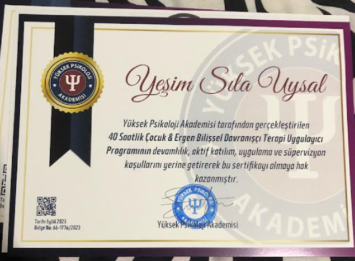 Çalışma ortamı 6