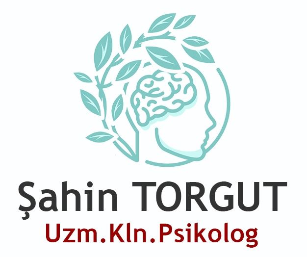 Çalışma ortamı 2