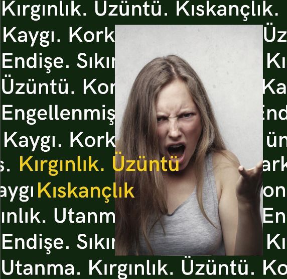 Çalışma ortamı 5