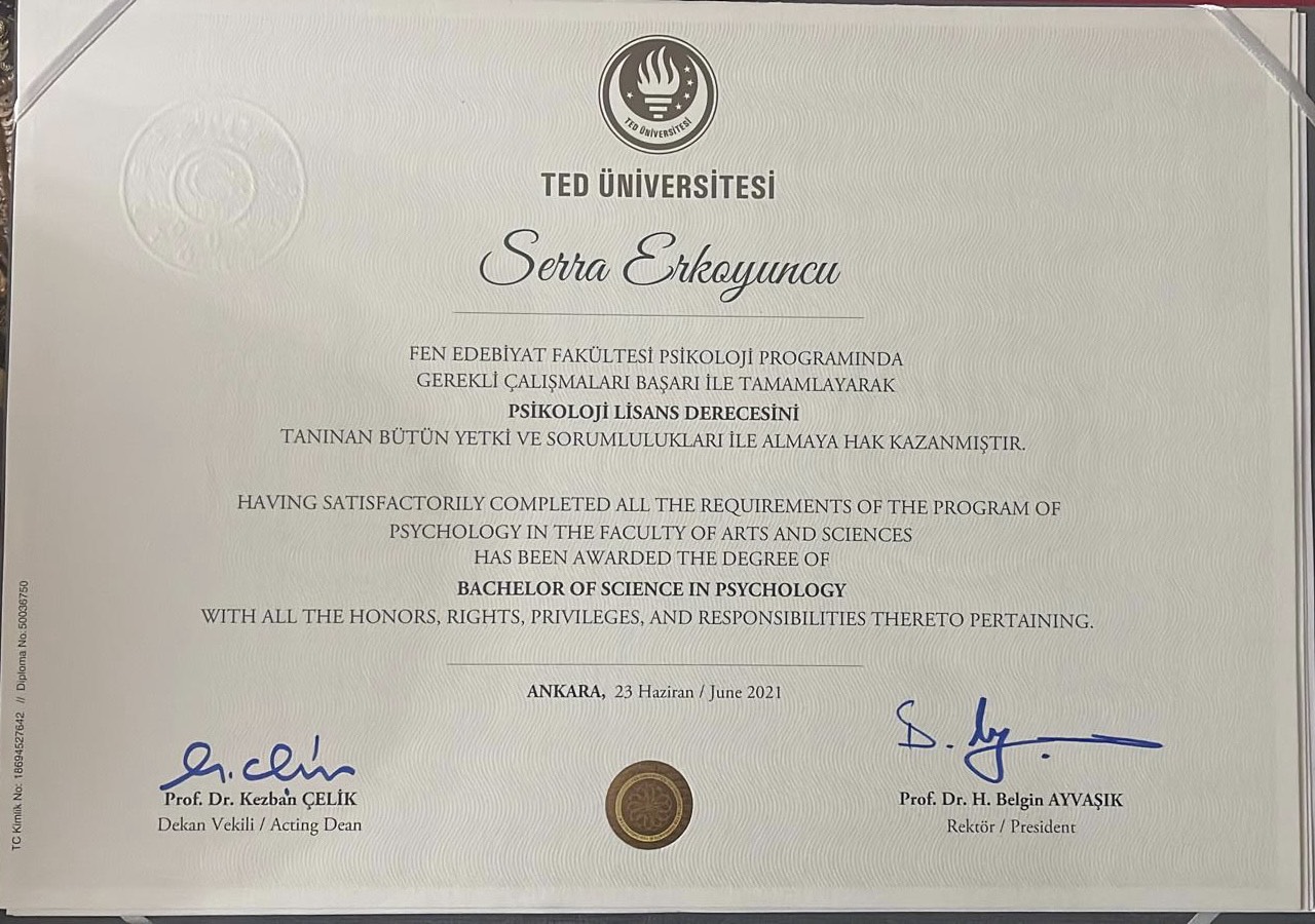 Çalışma ortamı 2