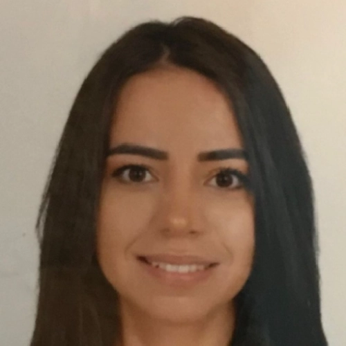Psk. Dan. Tansu Kabahor, Psikolojik Danışman, Aydın Efeler