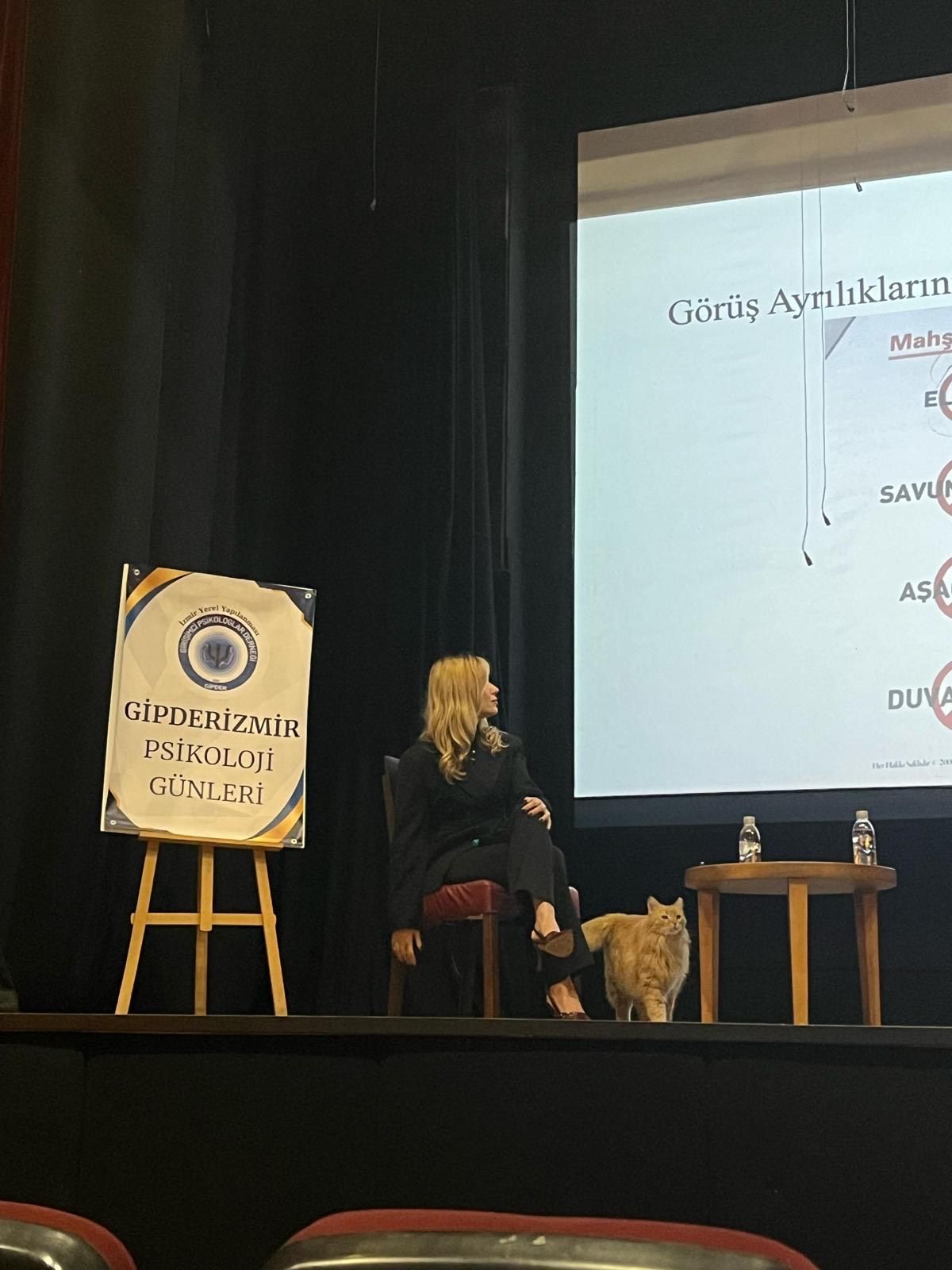 Çalışma ortamı 6