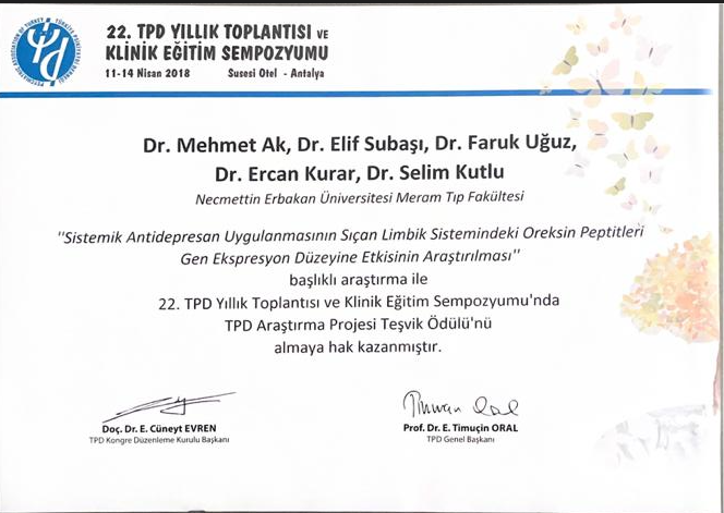 Çalışma ortamı 2
