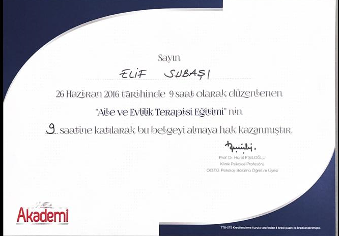 Çalışma ortamı 3