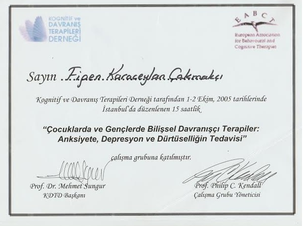 Çalışma ortamı 5