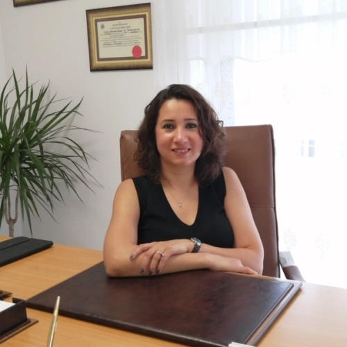 Uzm. Dr. Gözde Ciğerli Özkarakoyuncu, Psikiyatrist, Adana Seyhan