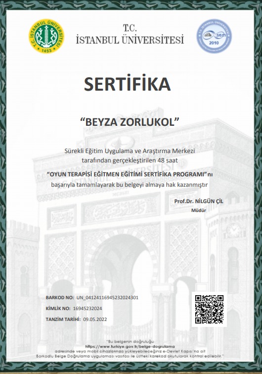 Çalışma ortamı 5