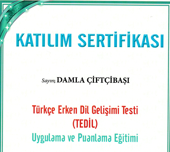 Çalışma ortamı 5