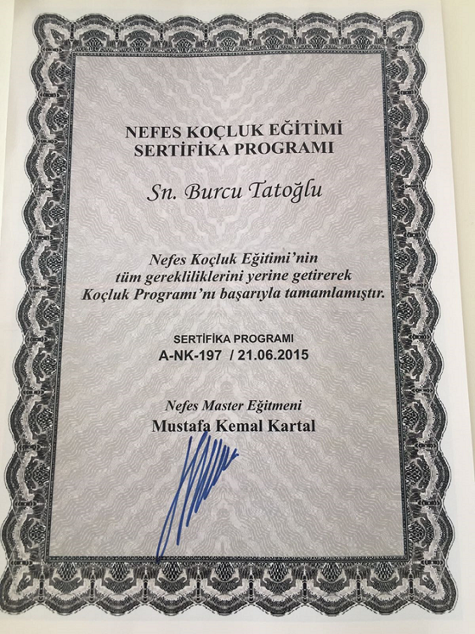 Çalışma ortamı 3