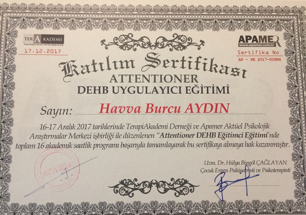 Çalışma ortamı 6