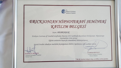Çalışma ortamı 4