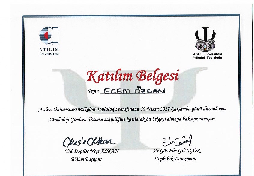 Çalışma ortamı 1