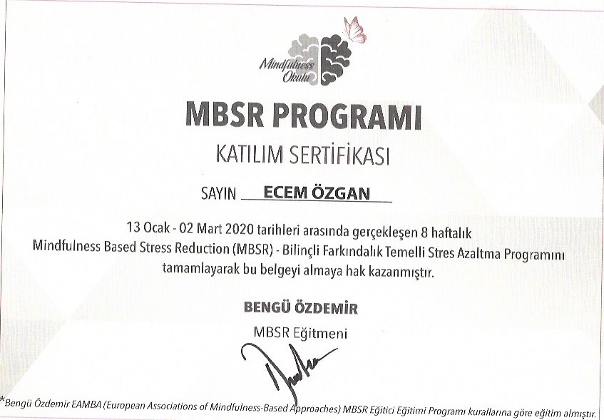 Çalışma ortamı 2