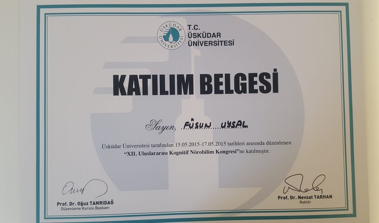 Çalışma ortamı 6