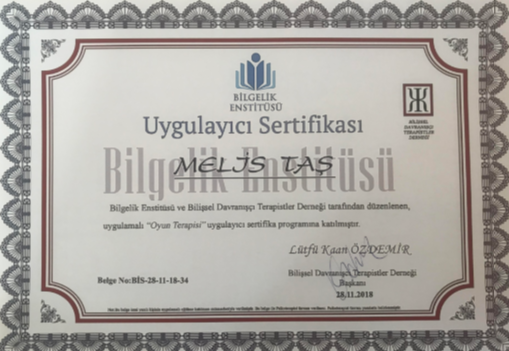Çalışma ortamı 3