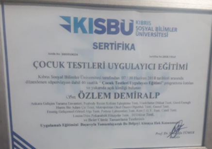 Çalışma ortamı 3