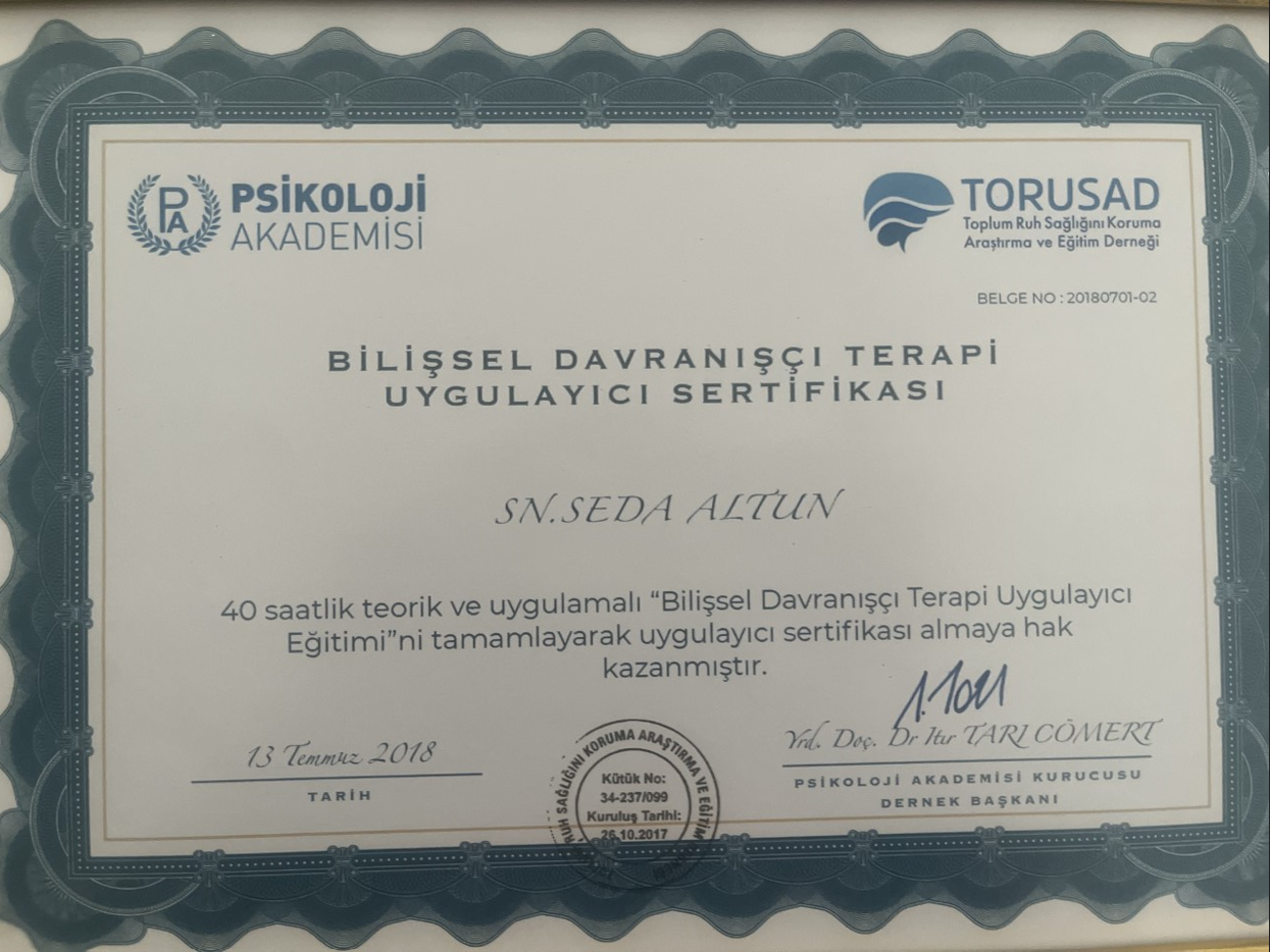 Çalışma ortamı 2