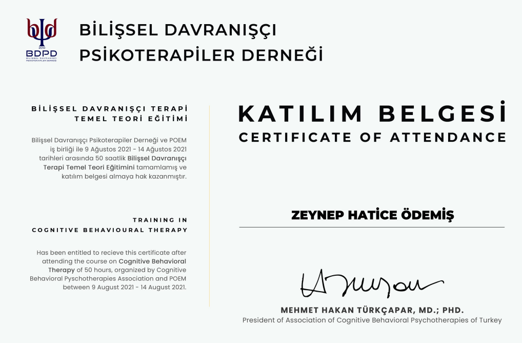 Çalışma ortamı 3